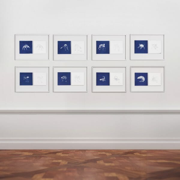 huit diptyques de cyanotypes présentant des fossiles de créatures inventées à partir de pièces d'auto trouvées sur la route et avec l'aide de l'IA.