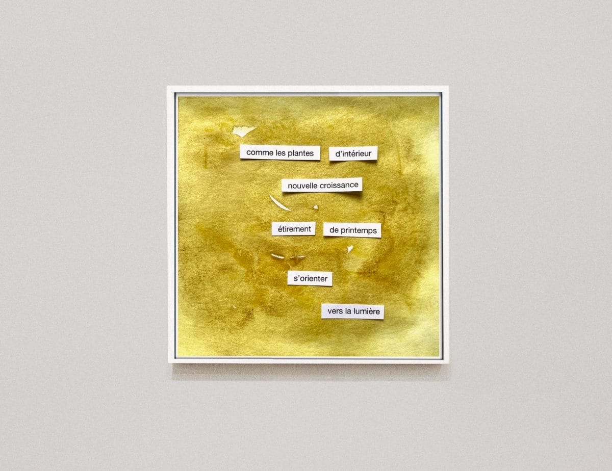 7sorienterverslalumiere