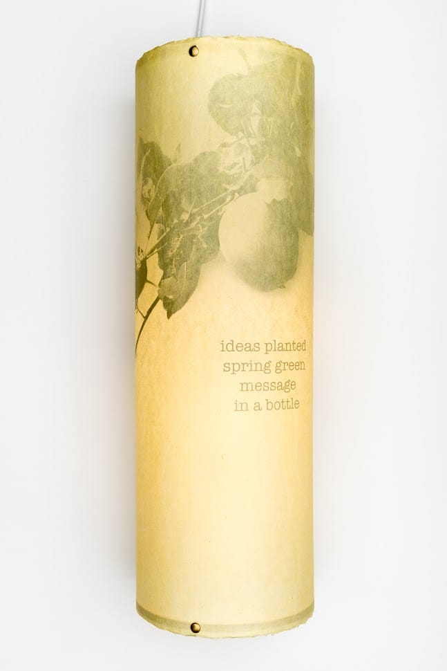 ideas planted jgriffith