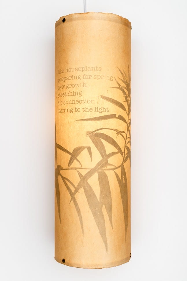 like houseplants jgriffith