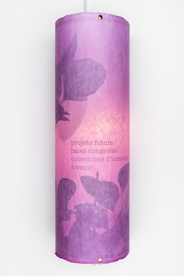 projets futurs jgriffith