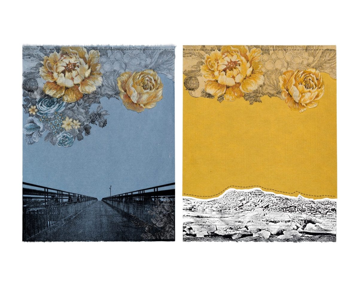 debacle 2 mel virginie plaque 03 mid