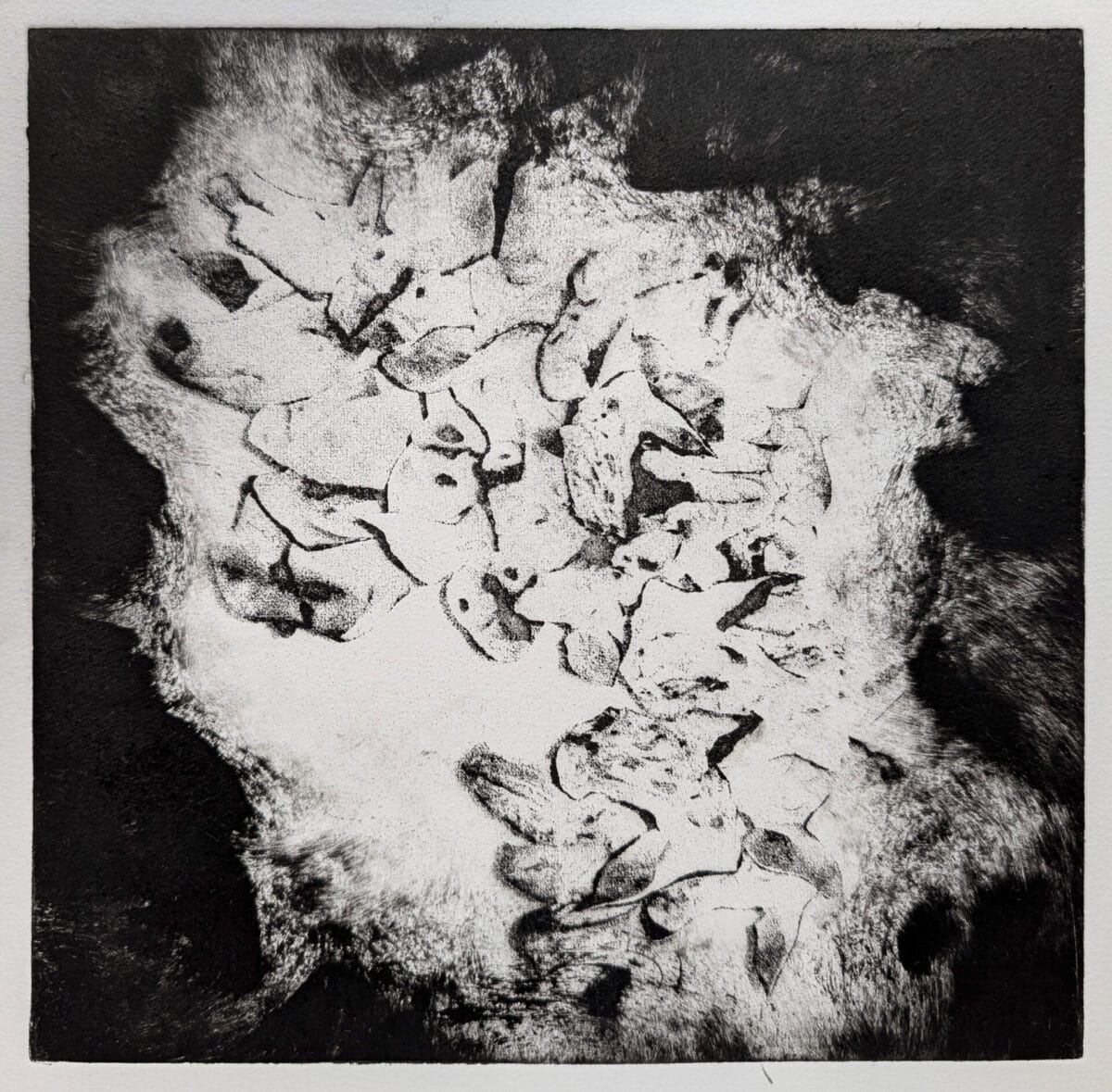 05 gervais chantal tetes de cochons no1 de la serie labattoir photogravure a leau forte 2025