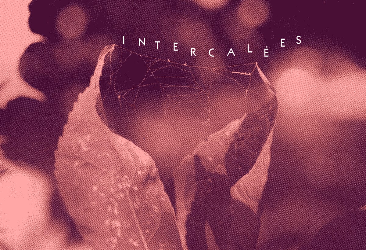 intercalees
