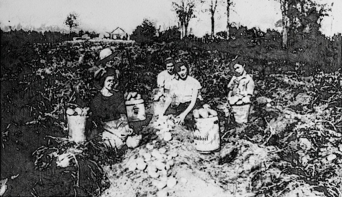 mondor auclair juste images001 e1759935105604