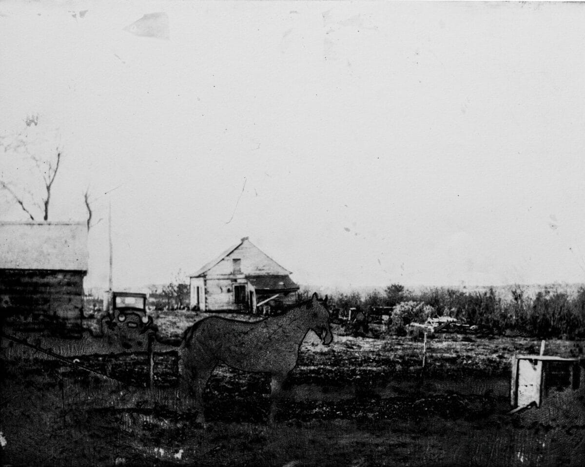 mondor auclair juste images008