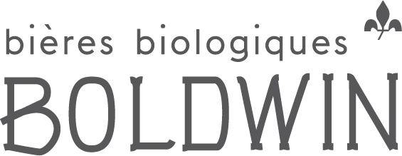 bold logo complet gris 2022 03 05