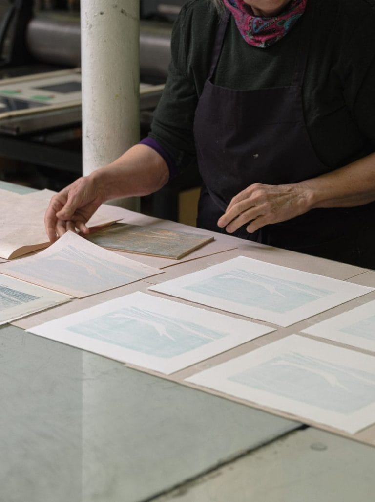 dsf8424 web e1775676401778